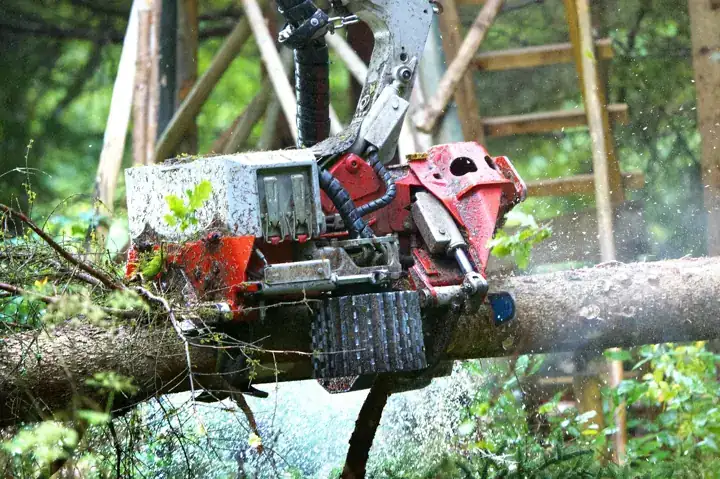 Chainsaw cutting through a felled tree trunk into sections