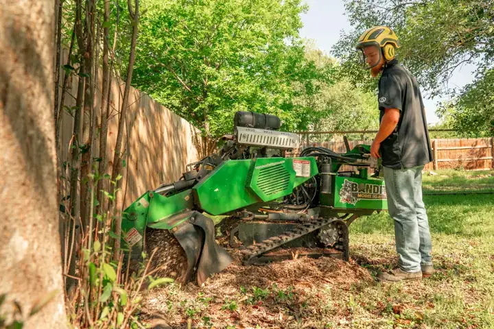 Worker operating a compact green stump grinder beside a garden fence